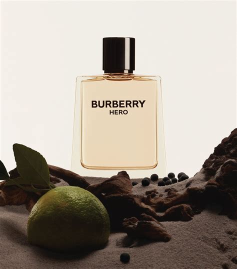 burberry toilette spray|burberry eau de toilette.